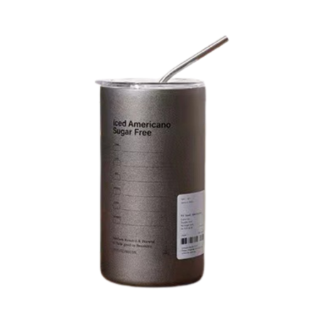600ML Insulated Stainless Steel Water Bottle with Straw - Grey