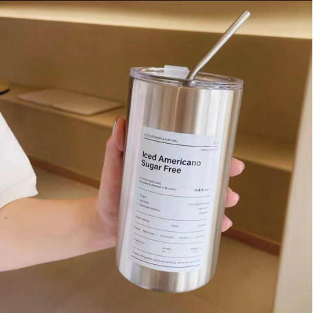 Bouteille d'eau en acier inoxydable isotherme avec paille en acier inoxydable 350ML - Couleur acier inoxydable