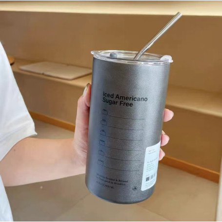Bouteille d'eau en acier inoxydable isotherme avec paille en acier inoxydable 600ML - Gris