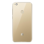 Back Glass HUAWEI Honor 8 Lite Gold With Adhesive (Without Logo)