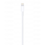 Câble USB / Lightning - 1M - Vrac (Apple)