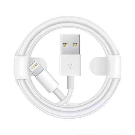 Câble USB / Lightning - 1M - Vrac (Apple)
