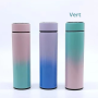 Thermos, Bouteille Isotherme - Bouteille Thermos Intelligente avec Écran Digital CIAOBOSI TX-8262 (450 ml) - Vert, prix de gros.