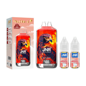 Vapoteuse Rechargeable JNR FALCONX 28000 Puffs Pêche Baie | Etech-Parts
