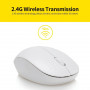 Wireless Mouse Q4