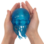 Jouet Anti-Stress, Squishy - Jelly Méduse Squishy Pailleté Nee Doh DSM - Lot de 6 Pièces, prix de gros.