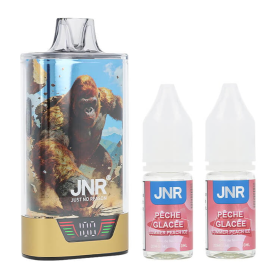 Vapoteuse E-Liquide Rechargeable - JNR GorillaX - 43K - Pêche Glacée | prix professionnel