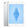 Tablet, Device - iPad Mini (5e Génération) 64 GB Wifi Silver - Grade A (TVA Sur Marge)*, wholesale price