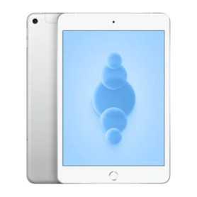 Tablet, Device - iPad Mini (5e Génération) 64 GB Wifi Silver - Grade AB (TVA Sur Marge)*, wholesale price