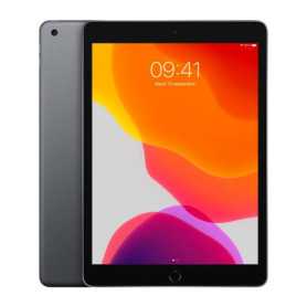 Tablet, Apple Device - iPad 10.2" (7th Generation) 32GB Cellular Gray - Grade A (VAT on Margin)*, wholesale price