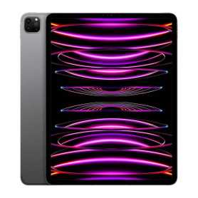 iPad - iPad Pro 12.9 6e 128 Go Cellular Gris Grade A, prix de gros