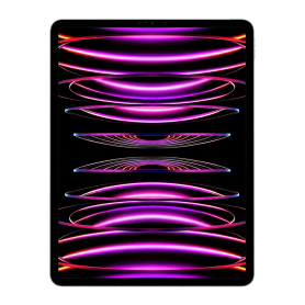 iPad - iPad Pro 12.9 6e 256 Go Cellular Gris Grade AB, prix de gros