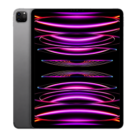Tablette - iPad Pro 12.9 6e 256 Go Cellular Gris Grade B, prix de gros