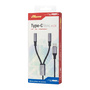 FASR FS-AB14 USB-C to Dual Jack Adapter Cable - 3.5 mm