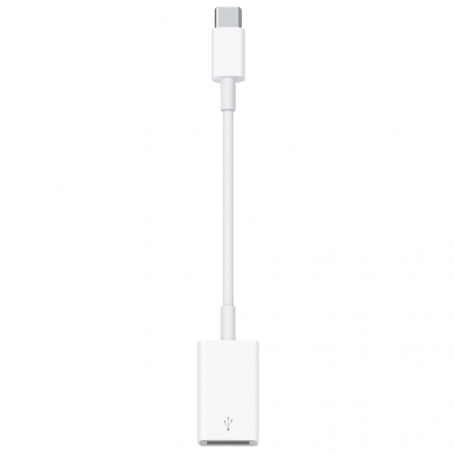Adaptateur USB-C vers USB - Retail Box (Apple)