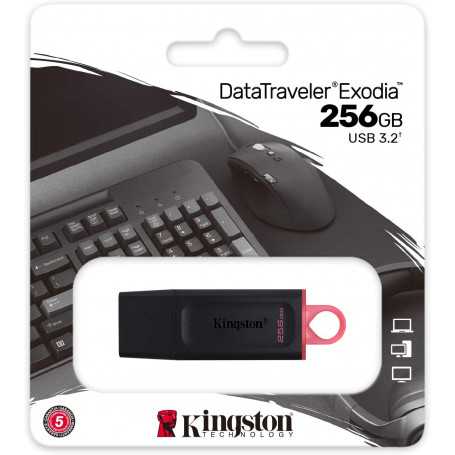 Clé USB Kingston DataTraveler Exodia 256 Go (Origine)