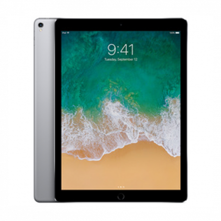 iPad Pro 12.9" 2017 256 Go Wi-Fi Gris - Grade D