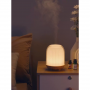 Mini parfum humidificateur ASIAMIST