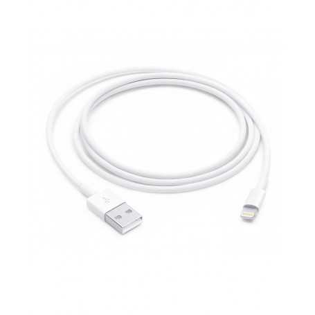 Câble USB / Lightning - 2M - Vrac (Apple)
