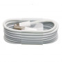 Cable Foxconn pour iPhone