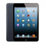 iPad Mini 16 Gb Wi-Fi + Cellular Black - Grade AB