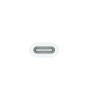 USB-C / Apple Pencil Adapter - White