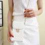 Cell Phone Bag with Belt and Gold Clasps - White