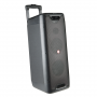 Enceinte Bluetooth  NGS Wild Rave 1 avec Microphone - 5" - 200W - Noir