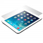 Tempered Glass - iPad - Bulk