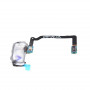 Home Button Flex Cable Samsung Galaxy S5 (G900F) White